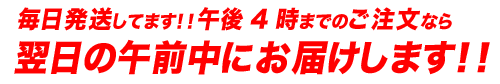 スマーティ正売販売店ホームエステティックセンター