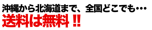 全国どこへでも送料無料