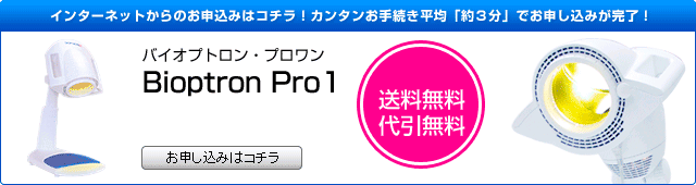 ご注文ボタン