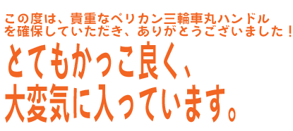 とてもかっこ良く大変気に入っています