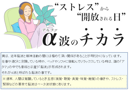 右脳開発のデジヴォ販売センター　英語学習他各種資格学習に