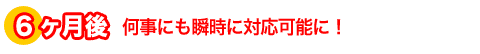 右脳開発のデジヴォ販売センター　英語学習他各種資格学習に