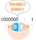 右脳開発のデジヴォ販売センター　英語学習他各種資格学習に