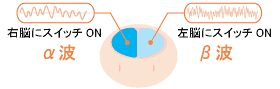 右脳開発のデジヴォ販売センター　英語学習他各種資格学習に