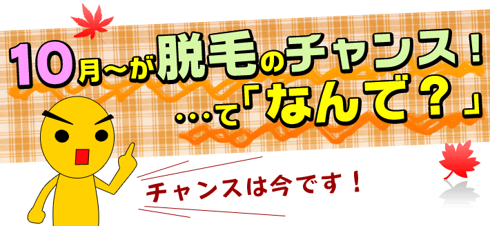 イーモリジュを今買う理由とは？