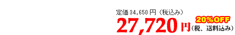 27720円（税・送料込み）