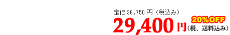 29400円（税・送料込み）