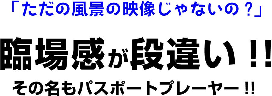 臨場感が凄いく