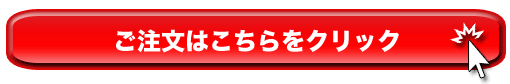 NARLエムエスソニック御注文