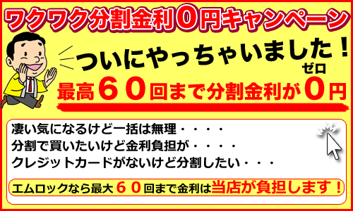 NARLは分割がお得