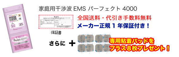 EMS}V ̪߰4000