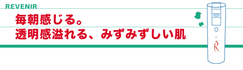 レブニールイメージ