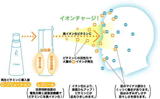 レブニールイメージ
